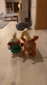 Fabulous Duck Duo Sashays Into Holiday Season