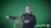 Wizzflix_ green look good job watch GIF