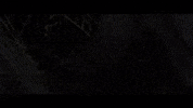 sonic the hedgehog trailer GIF