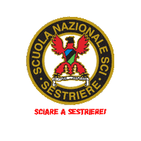 Summer Camp Fisi Sticker by scuolascisestriere