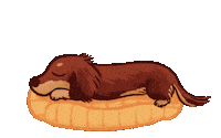 Sausage Dog Sticker