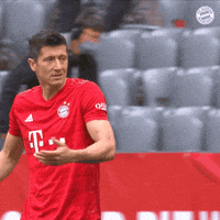 Robert Lewandowski Football GIF by FC Bayern Munich