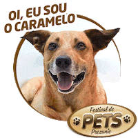 Gato Sticker by Prezunic