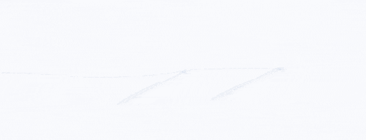 Snow Adventure GIF by PONANT