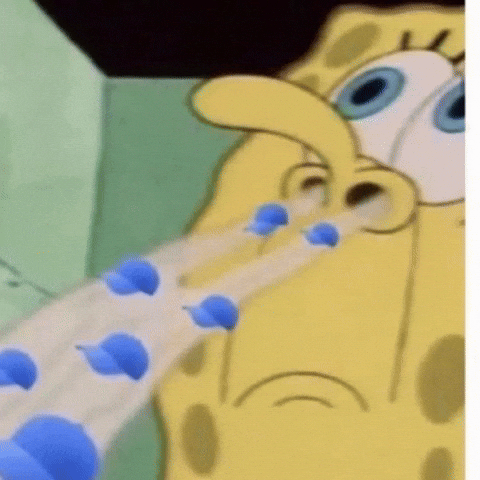 Spongebob Squarepants GIF