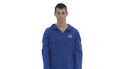 Bluehens Swimming Sticker by Delaware Blue Hens