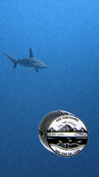 Sanjosedivers giphygifmaker shark diving dive GIF