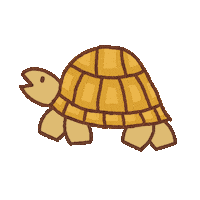 Turtle Sulcata Sticker