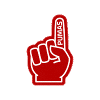 Football Womensfootball Sticker by Ashton Pumas Womens