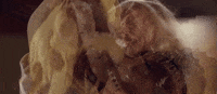 GIF by Ghostbusters 