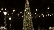 Christmas Time GIF by Hallmark Channel