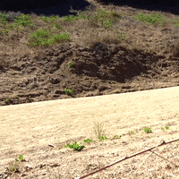 Good Morning Monday GIF by Yevbel