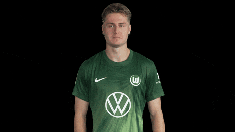 Like A Boss Deal With It GIF by VfL Wolfsburg