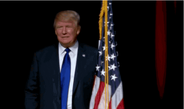 Political gif. Donald Trump poses onstage next to an American flag as if it were a person, crouching slightly while pointing at it and raising a thumbs up.