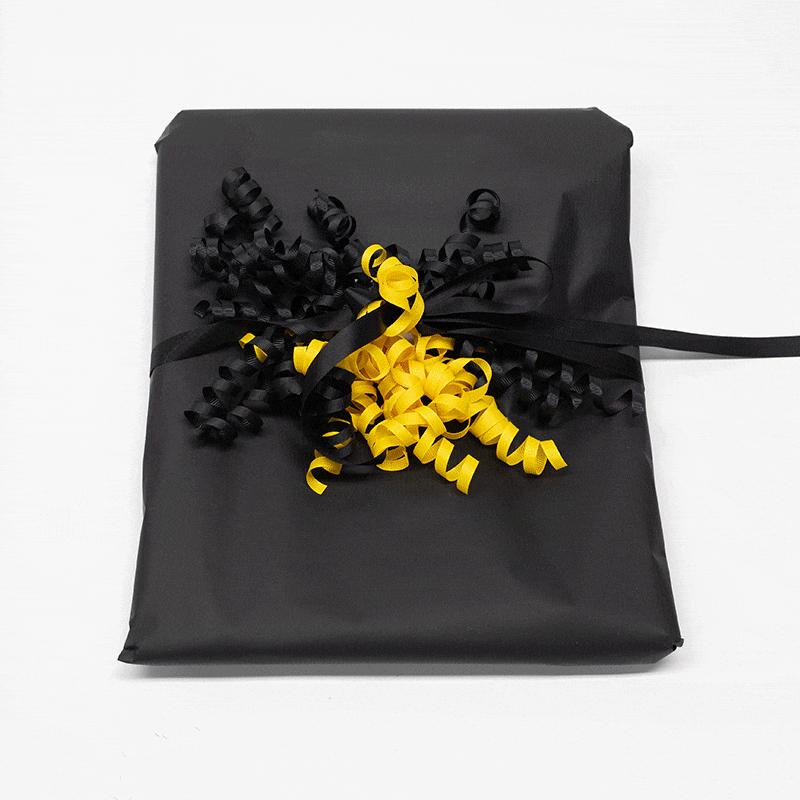 uiowa iowa hawkeyes university of iowa uiowa GIF