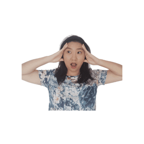 exseedidiomas giphygifmaker omg crazy exseed idiomas Sticker