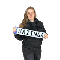 Big Bang Theory Wow Sticker by 3D Kennzeichen