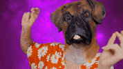 GIF by K.I.D
