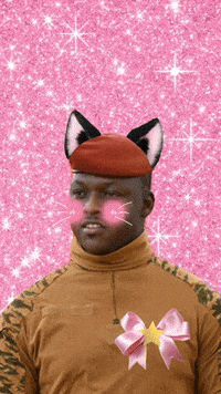 Burkina Faso Mali GIF