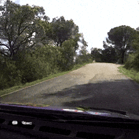 Racing Splash GIF by FIA European Rally Championship