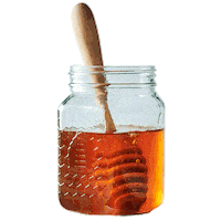 Doodle Honey Sticker by Breitsamer Honig