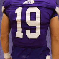 Football Wesleyan GIF by KWC Panthers