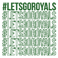 TheHagueRoyals basketball lets go hashtag royals Sticker