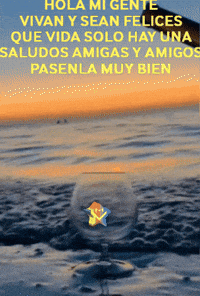 Amigos Tomando GIF by Murcianys LLC