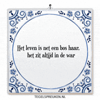 Humor Chaos GIF by Tegelspreuken.nl