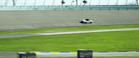 no te enamores GIF by Paloma Mami