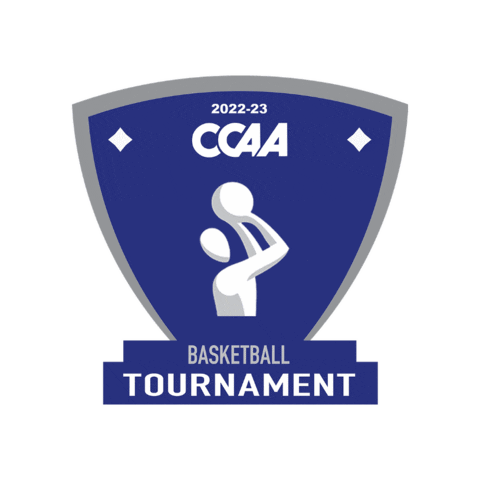 Basketball Tournament Sticker by CCAA