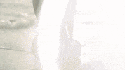 Sexy Beach GIF by Yandy.com