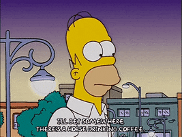 homer simpson GIF