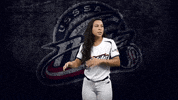 Celebration Action GIF by USSSA Pride