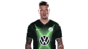Daniel Ginczek Sticker Sticker by VfL Wolfsburg