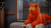 Nick Kroll Cat GIF by Crank Yankers