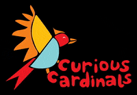 CuriousCardinals  GIF