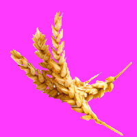 art installation GIF