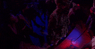 Alex Ross Perry Concert GIF by Speedy Ortiz