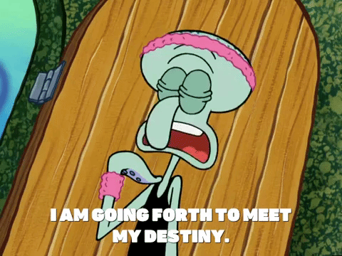 season 5 GIF by SpongeBob SquarePants