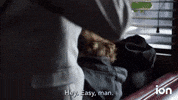 Ncis GIF by ION