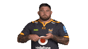 Rugby Sticker by Wasps