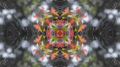 Art Film GIF by jorgemariozuleta