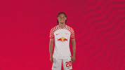 My Name Football GIF by RB Leipzig