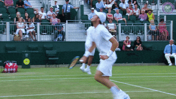 tennis ball head boop GIF by Wimbledon