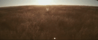 love the way you lie rihanna GIF