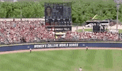 James Madison Women GIF by NCAA Championships