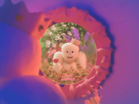 flowerboi's reflection