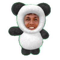 Formula 1 Panda Sticker by AA23