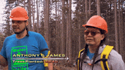 ctv amazing race tarc the amazing race canada #amazingracecanada GIF